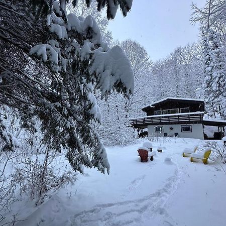 Chalet Dans Les Arbres. 3 Ch. /Trees House 3Bdr Lac Sainte-Marie Eksteriør billede