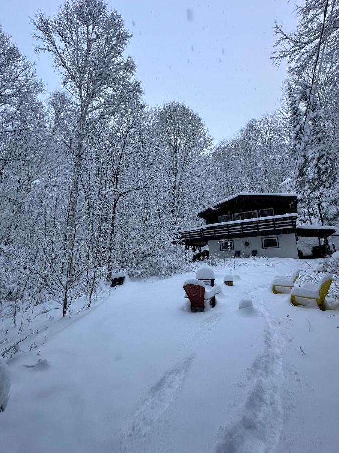 Chalet Dans Les Arbres. 3 Ch. /Trees House 3Bdr Lac Sainte-Marie Eksteriør billede